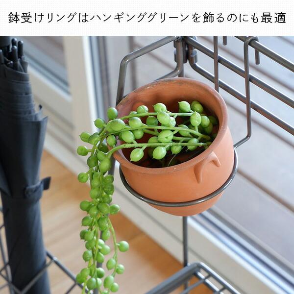 COLLEND（コレンド） ワイヤーボタニカルラック フラワースタンド 観葉