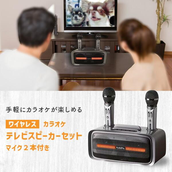 とうしょう 手元スピーカー カラオケマイクセット マイク2本付き とうしょう 手元スピーカー カラオケマイクセット マイク2本付き