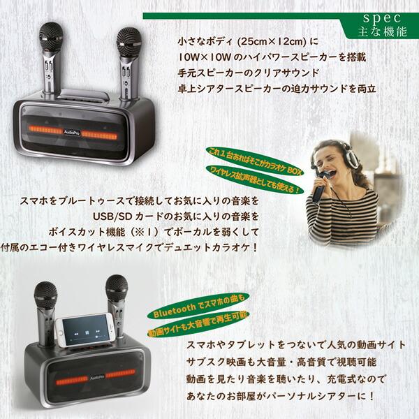 とうしょう 手元スピーカー カラオケマイクセット マイク2本付き とうしょう 手元スピーカー カラオケマイクセット マイク2本付き