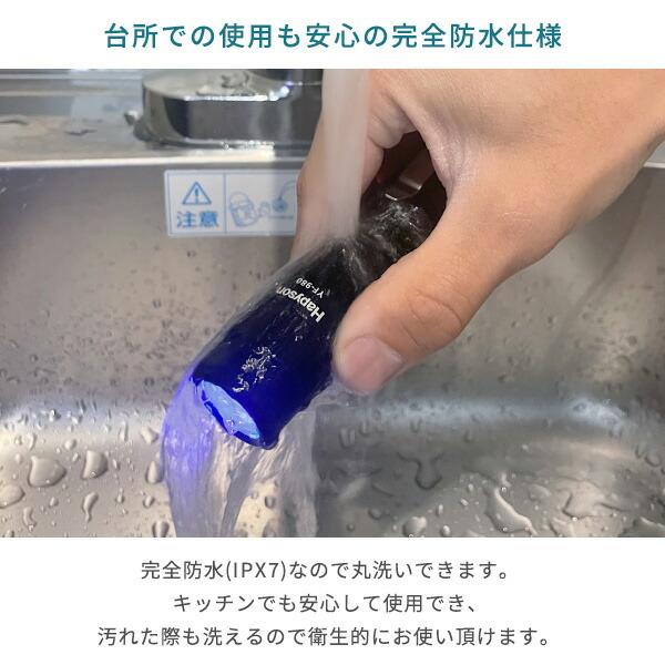 アニサキスライト 津本式 完全防水 IPX7 YF-980 ハピソン ブラック