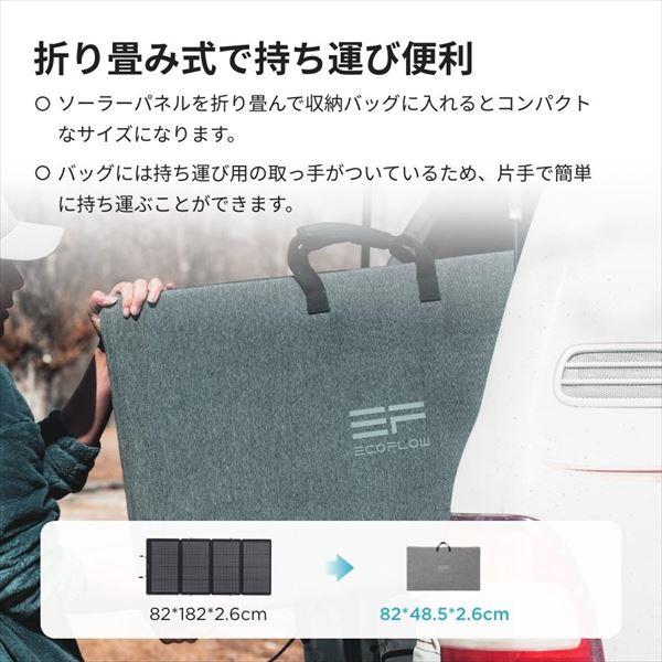 ECOFLOW 220W両面受光型ソーラーパネル 両面受光発電 収納バッグ付き