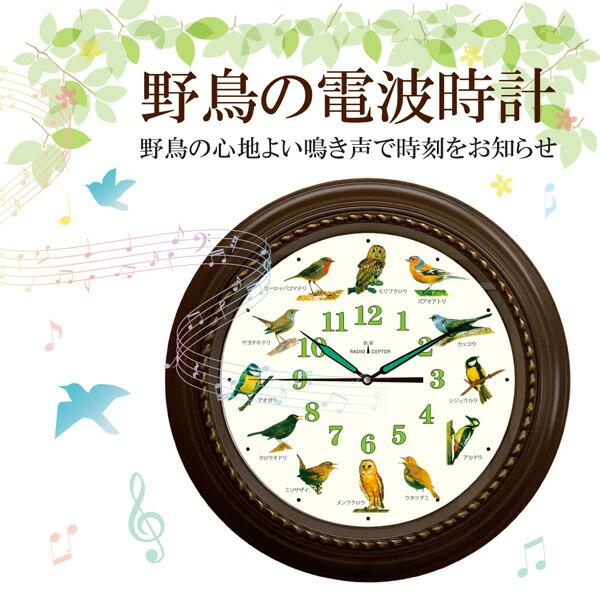山善（YAMAZEN） 野鳥の電波壁掛け時計 12種類の野鳥のさえずり 日本