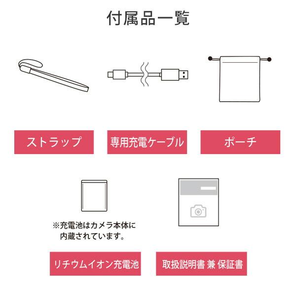 DFree（個人）未使用 取扱説明書+付属品セット 看護・介護用品 DFree（個人）未使用 取扱説明書+付属品セット