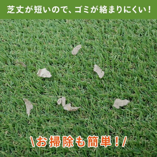 人工芝 お手入れ簡単人工芝 1×2m 芝丈12mm CK6H-1212 リアル人工芝