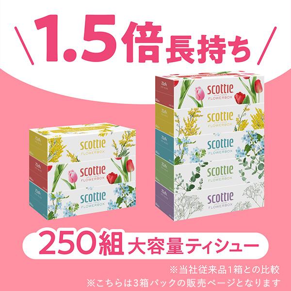 スコッティ（scottie） ティッシュペーパー フラワーボックス 250組 3