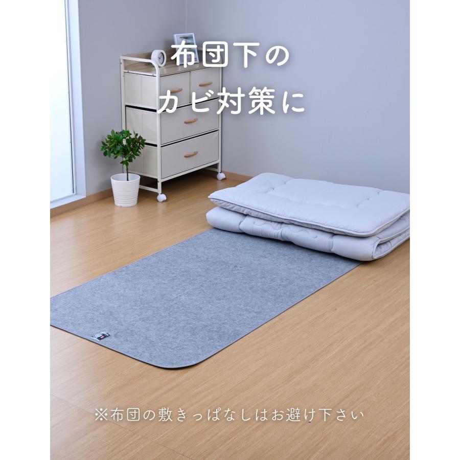 洗える 除湿シート ダブル AJS-D(LGY) 防カビ 防臭 珪藻土入り 湿気