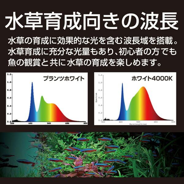 ゼンスイ 水槽用 照明 ライト 水中マルチカラー LED 900 (1350lm/15W