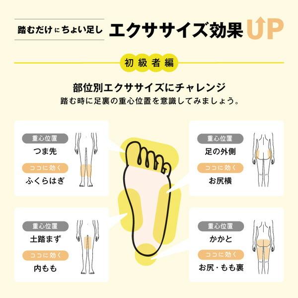 サイドステッパー 油圧式 保護マット付 FA51 グレー ステップ運動 ステッパー 脚痩せ ヒップアップ ダイエット 健康器具 有酸素運動 アルインコ_12