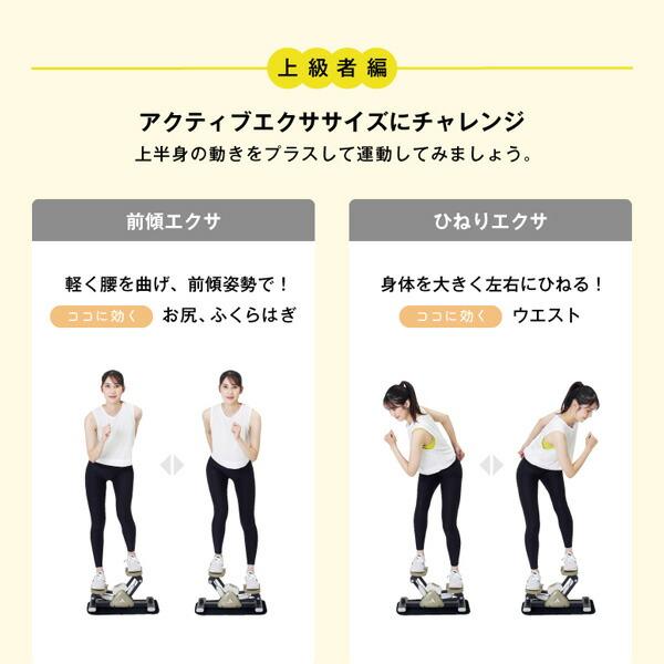 サイドステッパー 油圧式 保護マット付 FA51 グレー ステップ運動 ステッパー 脚痩せ ヒップアップ ダイエット 健康器具 有酸素運動 アルインコ_13