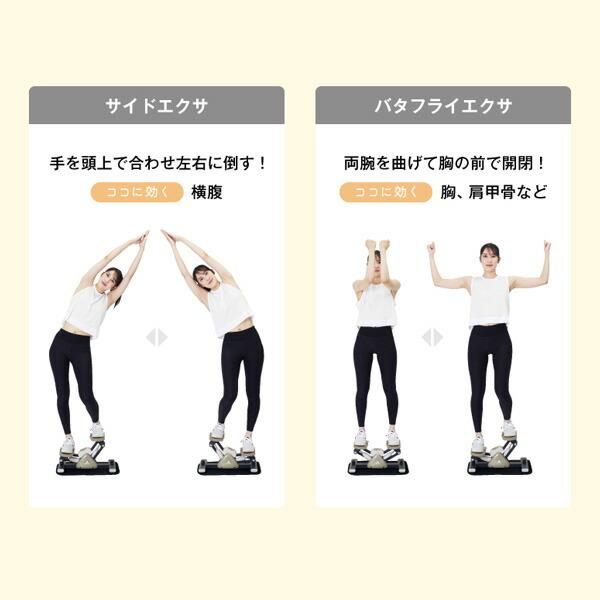 サイドステッパー 油圧式 保護マット付 FA51 グレー ステップ運動 ステッパー 脚痩せ ヒップアップ ダイエット 健康器具 有酸素運動 アルインコ_14