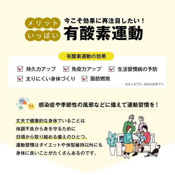 サイドステッパー 油圧式 保護マット付 FA51 グレー ステップ運動 ステッパー 脚痩せ ヒップアップ ダイエット 健康器具 有酸素運動 アルインコ_6