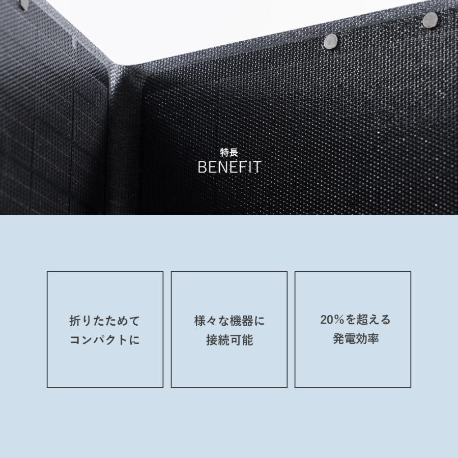 山善（YAMAZEN） ELEIN ソーラーパネル 100W (USB-C/USB-A/DC出力) 23
