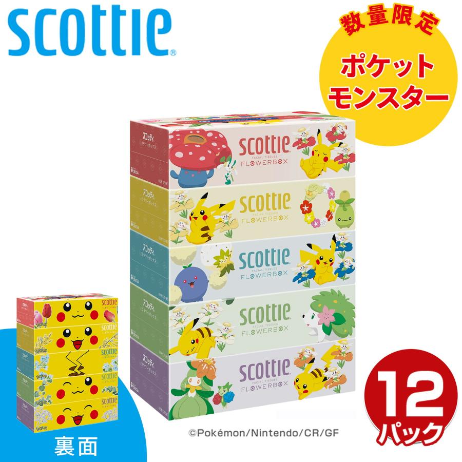 スコッティ（scottie） ティッシュペーパー フラワーボックス 500枚