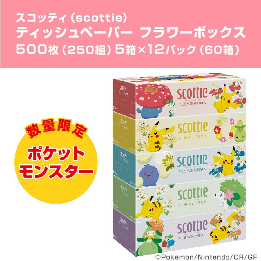 スコッティ（scottie） ティッシュペーパー フラワーボックス 500枚