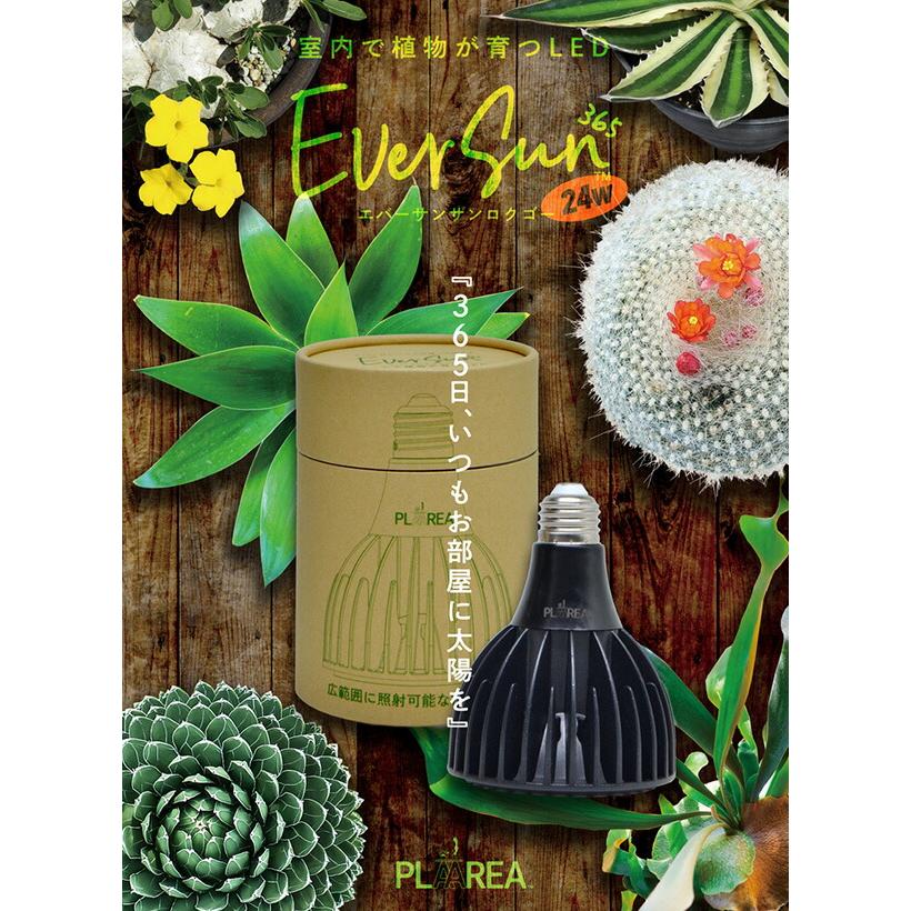植物育成ライト、ファンセット ゼンスイ 植物育成ライト EVERSUN365 クリップソケットセット : くらし