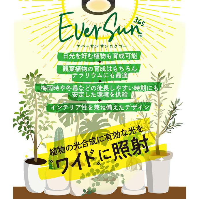 ゼンスイ 植物育成ライト EVERSUN365 クリップソケットセット : くらし