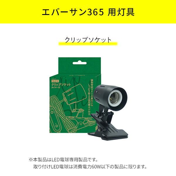ゼンスイ 植物育成ライト EVERSUN365 クリップソケットセット : くらし