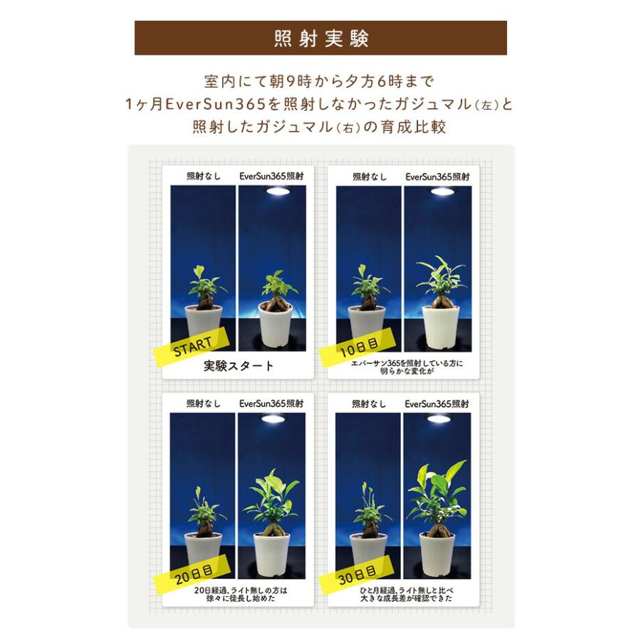 新品‼️植物 ゼンスイ スタンドソケット タイマー付き 植物育成ライト