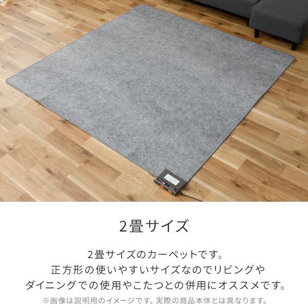 ホットカーペット 2畳 制菌・消臭 「敷く消臭元」二畳 節電 電気
