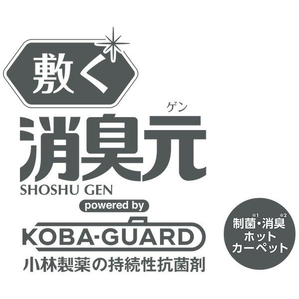 山善 制菌・消臭 ホットカーペット 「敷く消臭元」 2畳 : くらしのe