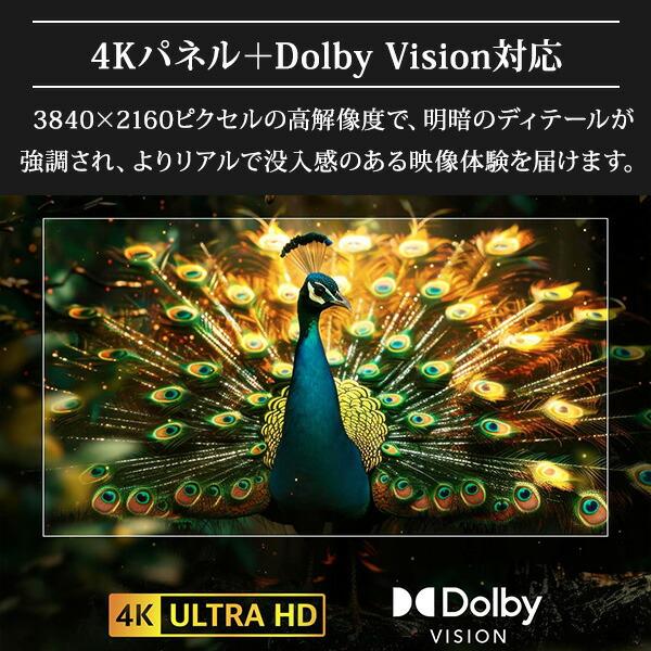 キュリオム テレビ 50型 4K YouTube ネット Wチューナー スマートTV