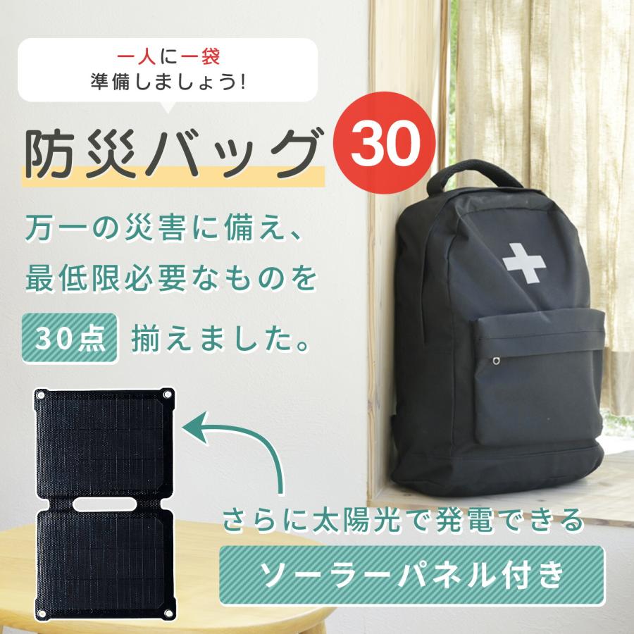 山善（YAMAZEN） 防災グッズ 防災セット 防災士監修 一次避難用 災害