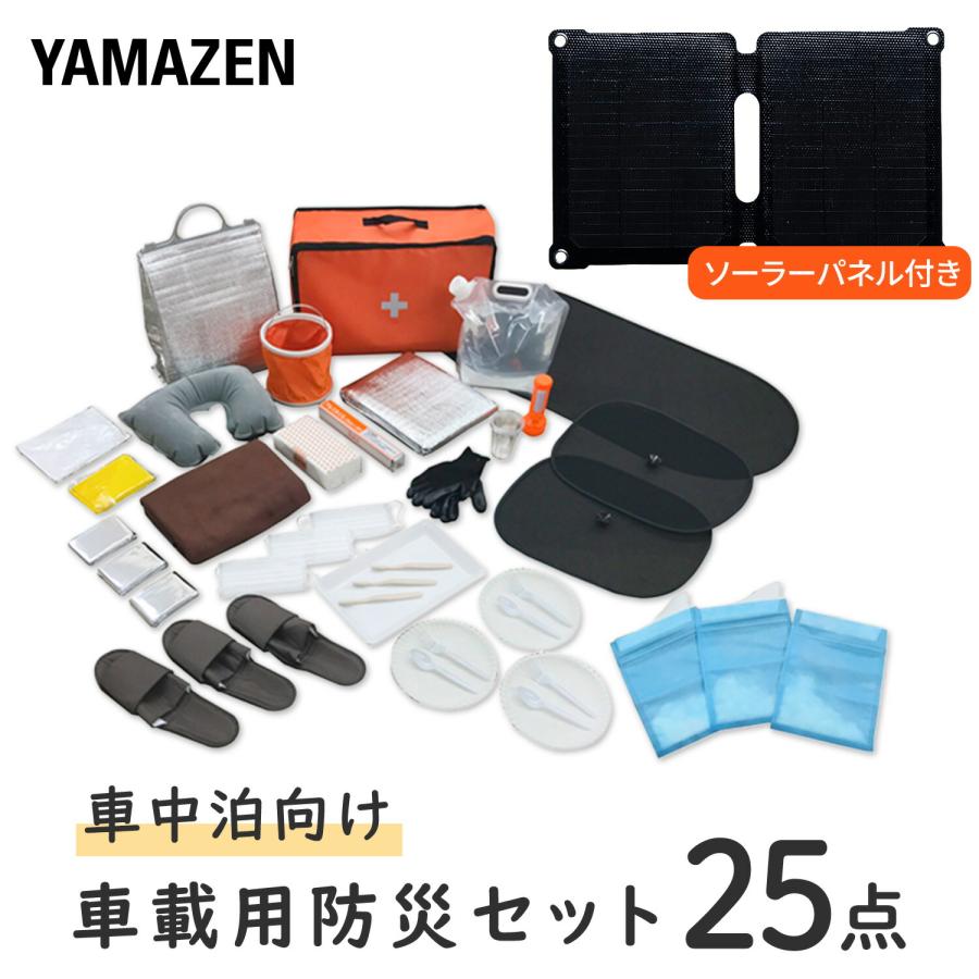 おやまんさま専用① SAYAMA works サヤマ Fast V3 X-PAC VX21 | TECH COUNTRY