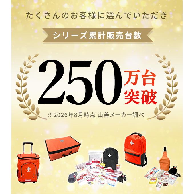 防災グッズ 防災セット 防災士監修 一次避難用 災害対策30点セット 10W相当ソーラーパネル付 1人用 非常用 防災リュック バック バッグ YBG-30/YRSB-M100 山善 | 山善 | 03