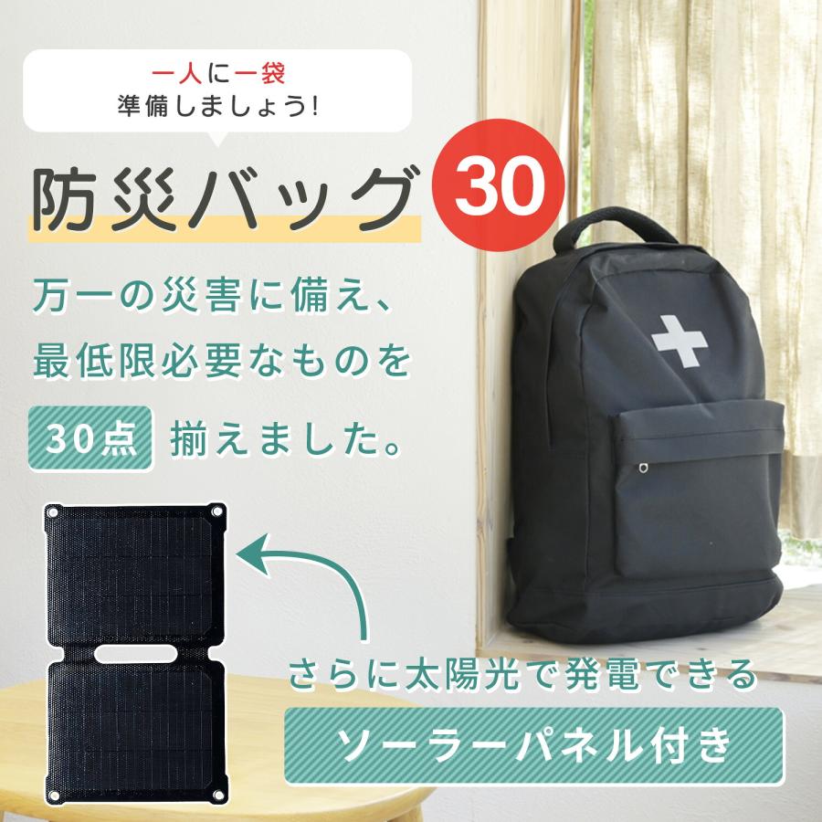 防災グッズ 防災セット 防災士監修 一次避難用 災害対策30点セット 10W相当ソーラーパネル付 1人用 非常用 防災リュック バック バッグ YBG-30/YRSB-M100 山善 | 山善 | 04
