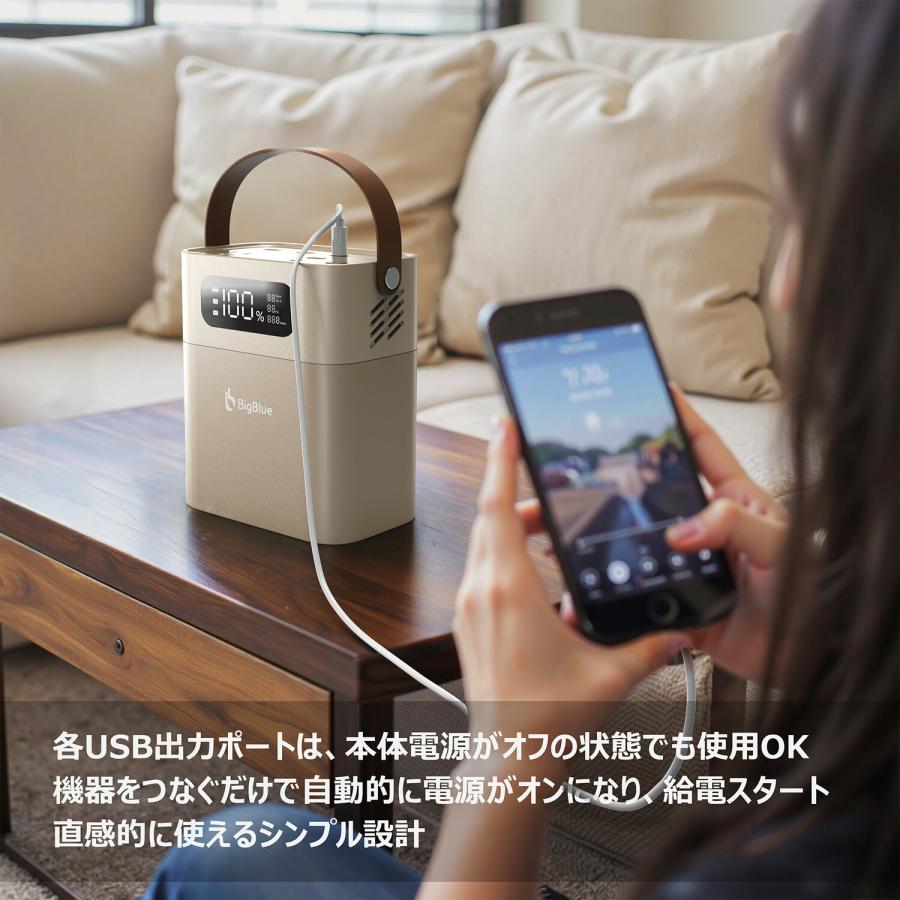 Bigblue リン酸鉄 ポータブル電源 Cellpowa100 パススルー充電対応