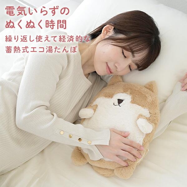 湯たんぽ 蓄熱式 2個セットコードレス 省エネ デスクワーク 節電 あん