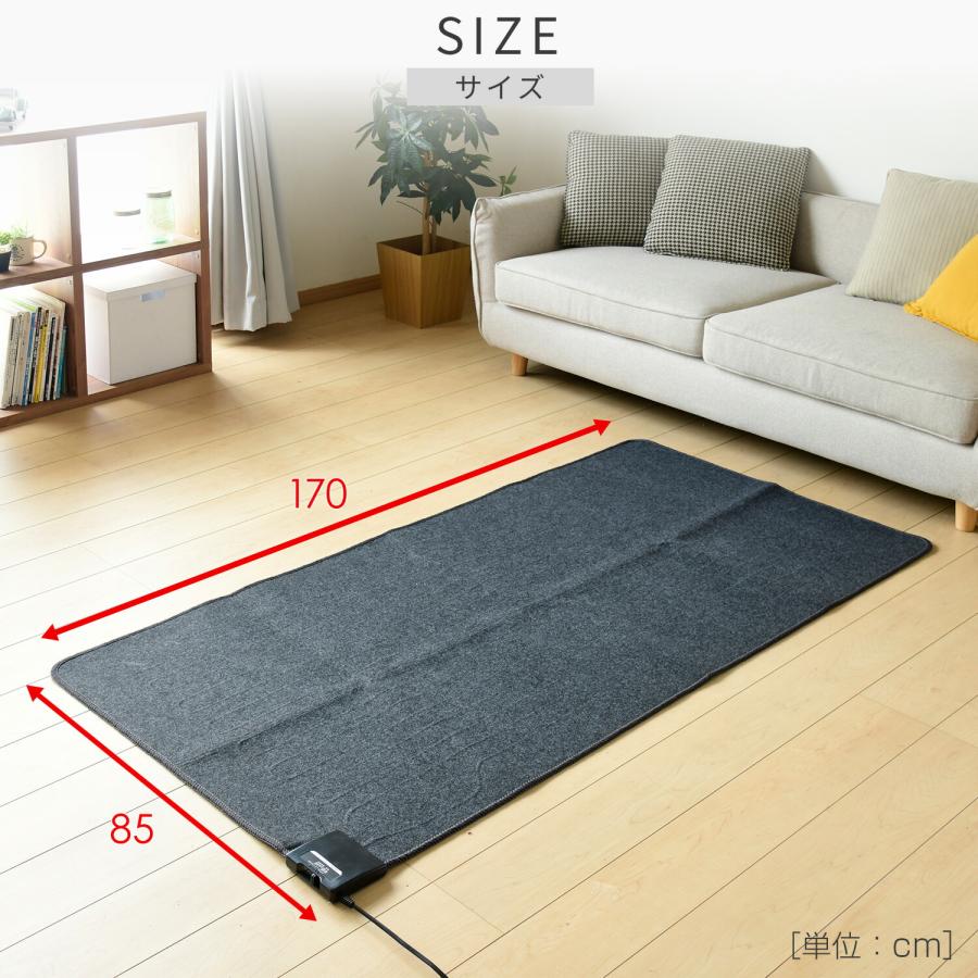 山善 ホットカーペット 本体 ラグセット 1畳 電気カーペット ダニ退治