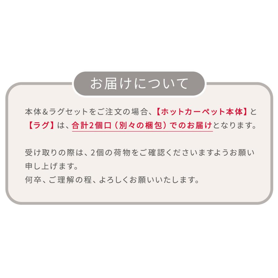 ホットカーペット 3畳 本体 カバー カバーセット ラグ ラグセット ダニ