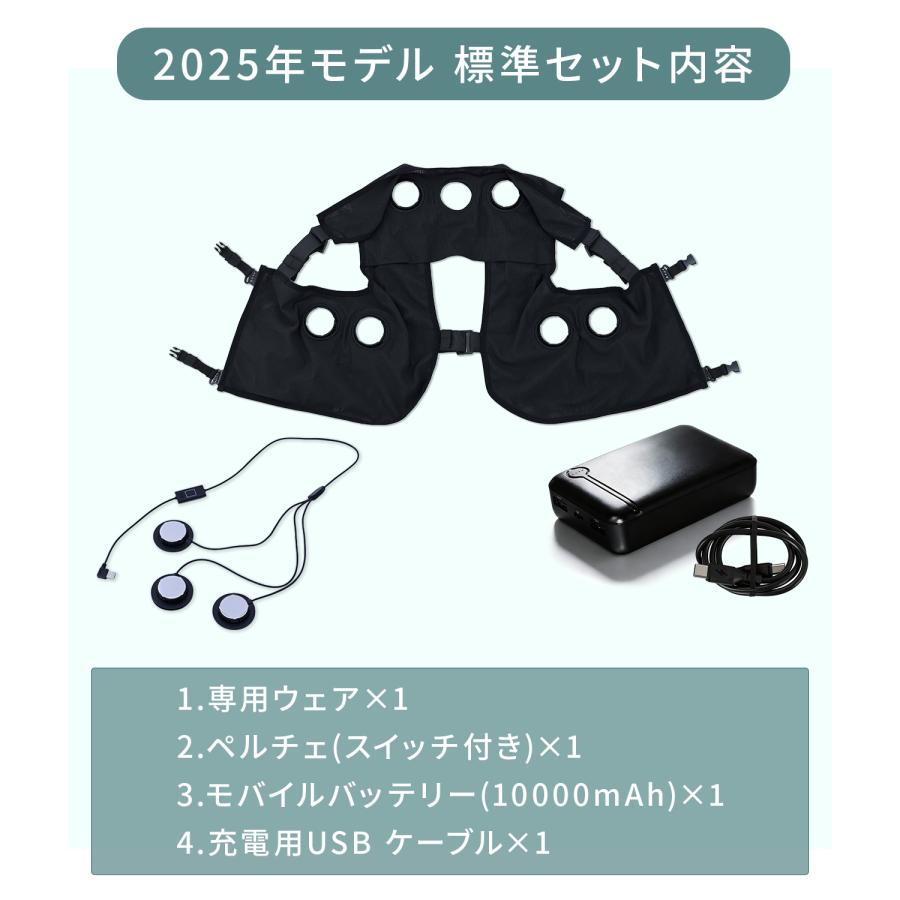 山善（YAMAZEN） ペルチェベスト メッシュ YPLT-FM3 2025年モデル 冷却