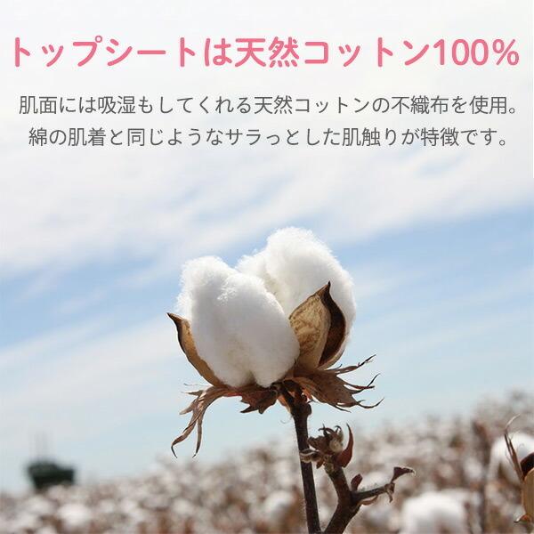 NaturaMoon ナチュラムーン 生理用ナプキン 多い日の昼用 羽つき 23.5