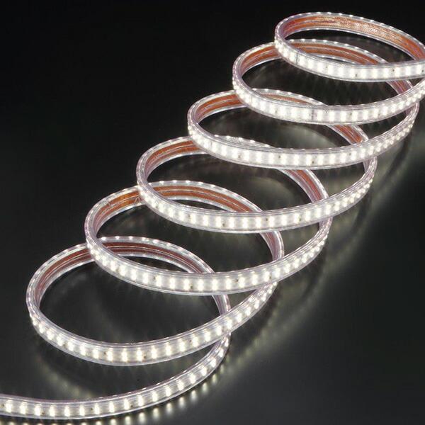 HATAYA（ハタヤ） LEDテープライト片面発光タイプ(単体) LTP-5 LED