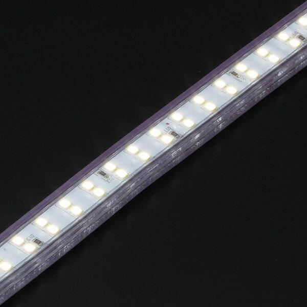 HATAYA（ハタヤ） LEDテープライト片面発光タイプ(単体) LTP-5 LED