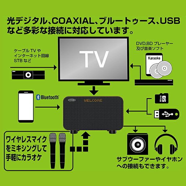 東京企画販売 アンプ内蔵 カラオケスピーカー サウンドプロMAX 東京企画販売 アンプ内蔵 カラオケスピーカー サウンドプロMAX
