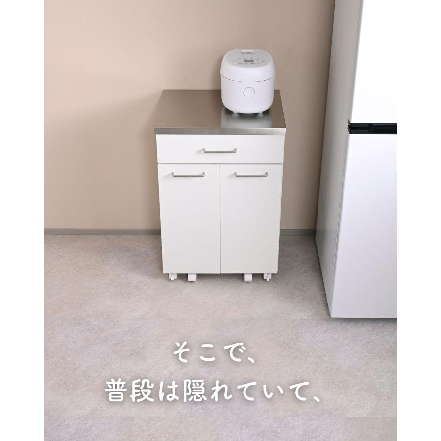 山善（YAMAZEN） ゴミ箱 2分別 キッチンカウンター キャスター付き