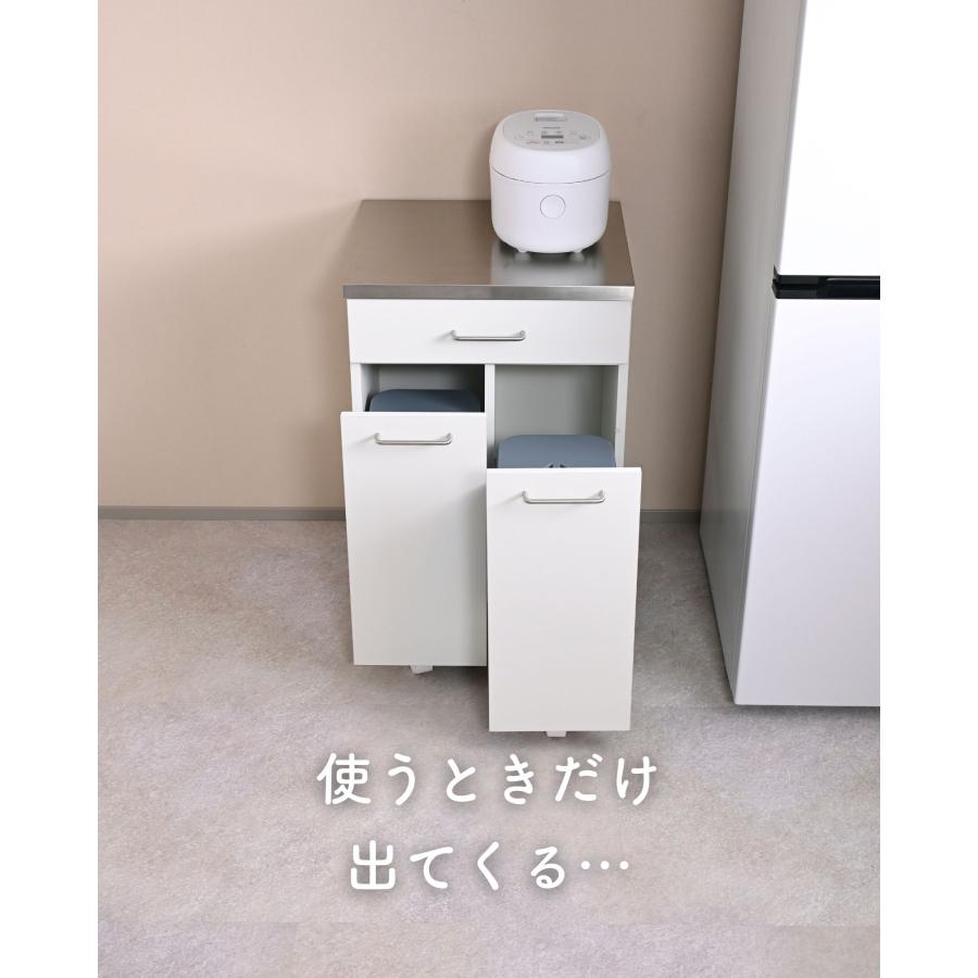 山善（YAMAZEN） ゴミ箱 2分別 キッチンカウンター キャスター付き
