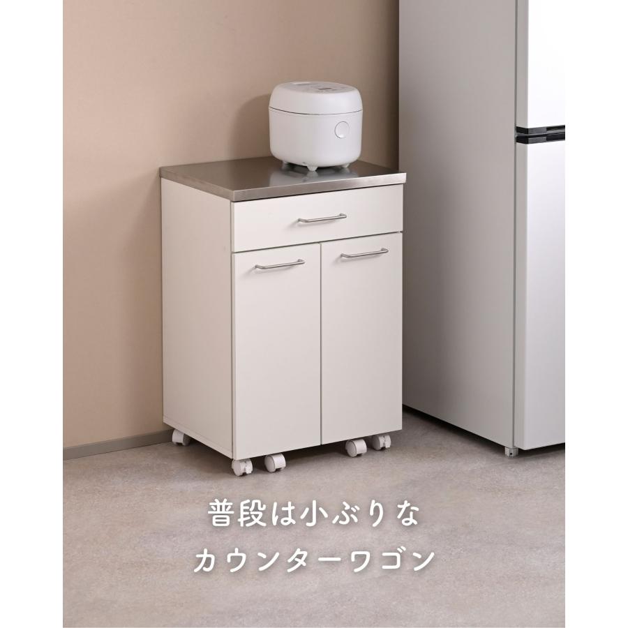 山善（YAMAZEN） ゴミ箱 2分別 キッチンカウンター キャスター付き