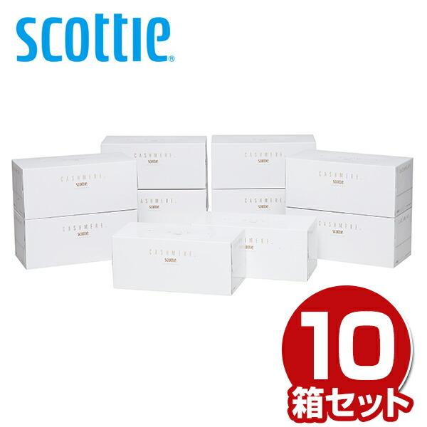 スコッティ（scottie） ティッシュペーパー カシミヤ 440枚(220組) 10 