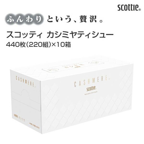 スコッティ（scottie） ティッシュペーパー カシミヤ 440枚(220組) 10 