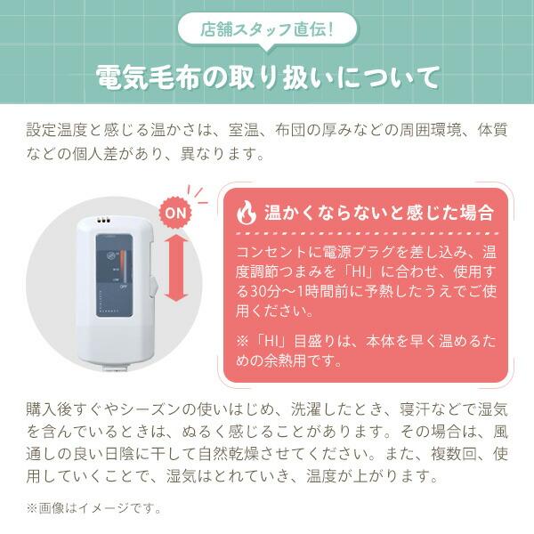 電気毛布 掛・敷毛布 188×130cm 2枚組 電気掛け毛布 電気掛毛布 電気