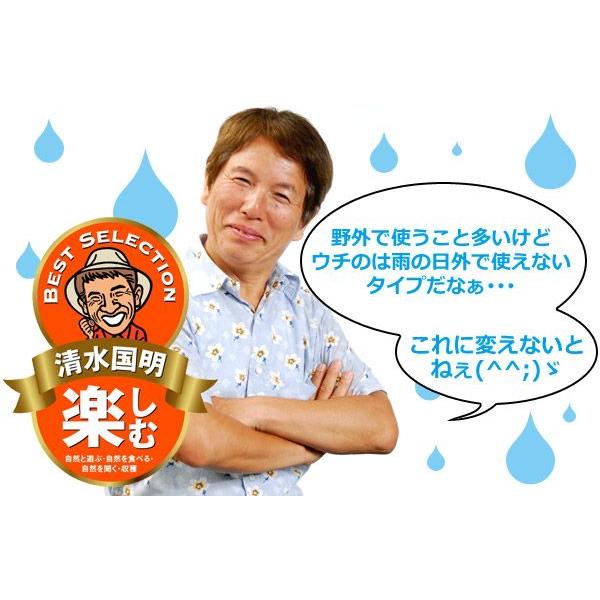HATAYA（ハタヤ） サンデーレインボーリール コードリール SS-20