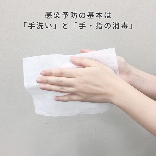 消毒 ウェットタオル 詰め替え 100カット×20パック 指定医薬部外品 ウェットティッシュ ウエットティッシュ ウェットティシュー お手拭き 日本製紙クレシア_2