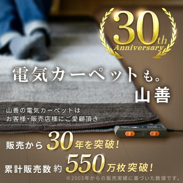 山善 ホットカーペット フローリング調ホットカーペット 2畳 YZC 山善 ホットカーペット フローリング調ホットカーペット 2畳 YZC