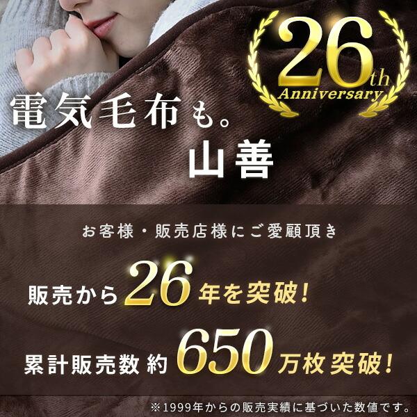 電気毛布 掛・敷毛布 188×130cm 電気掛け毛布 電気掛毛布 電気敷き毛布