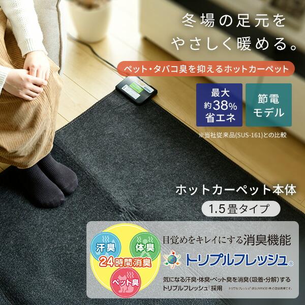 ホットカーペット 2畳 空気をキレイにする 本体 小さく