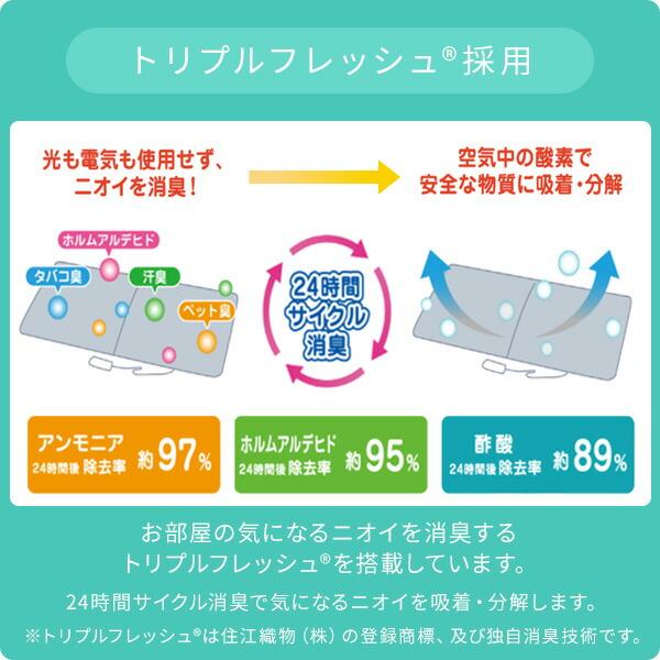 ホットカーペット 1.5畳 空気をキレイにする 本体 ラグサイズ 小さく